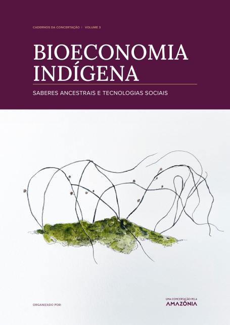 capa do estudo Bioeconomia indígena: saberes ancestrais e tecnologias sociais